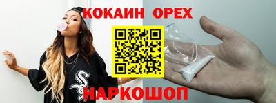 крисы Новодвинск