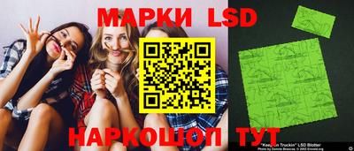 крисы Новодвинск