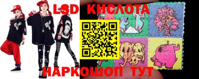 крисы Новодвинск