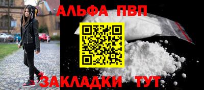 крисы Новодвинск