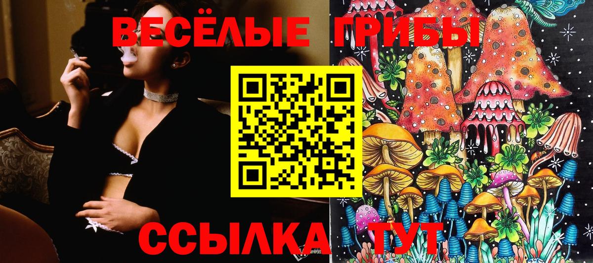Псилоцибиновые грибы MAGIC MUSHROOMS Фролово