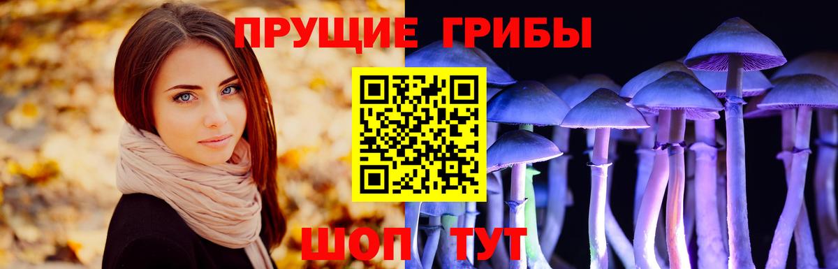 Галлюциногенные грибы Psilocybine cubensis  Вход с VPN  Фролово  Псилоцибиновые грибы мухоморы 